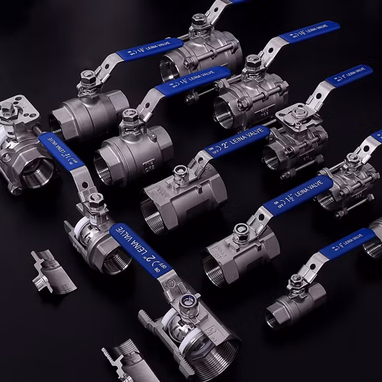 Sanitär-Rohrverschraubungen aus Edelstahl, Rohrverschraubungen/Winkel/Zwinge mit 3A